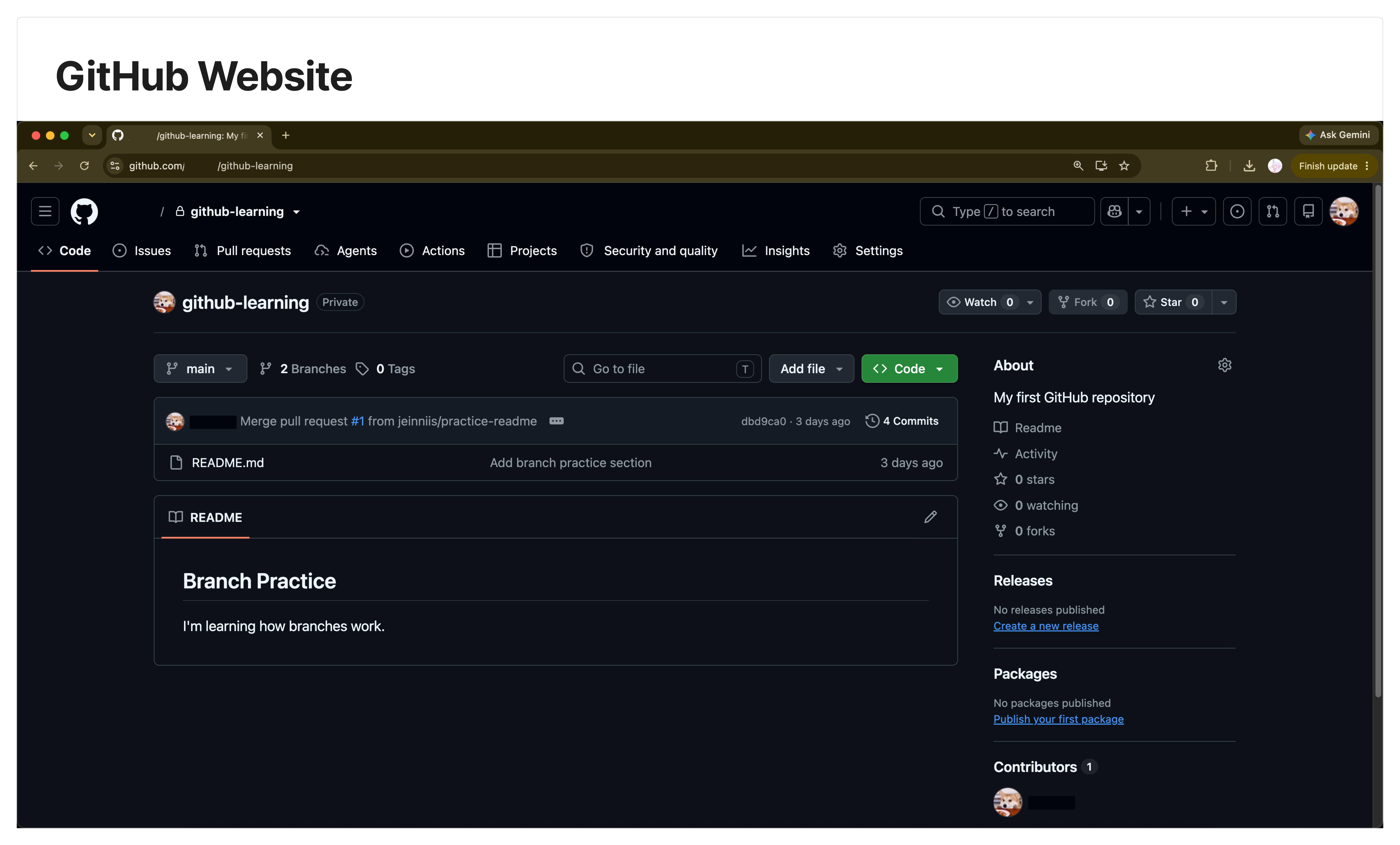Interface - GitHub Website