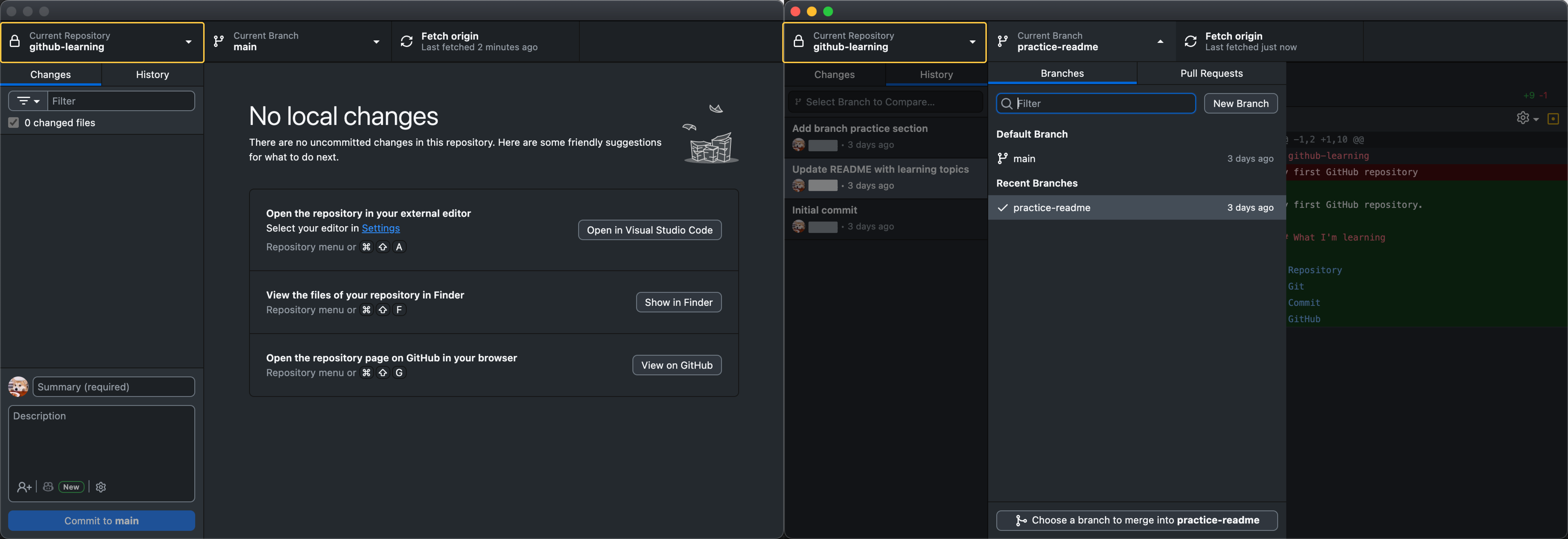 Interface - GitHub Desktop
